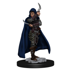 Pathfinder Battles Premium Painted Figure Human Rogue Female-1