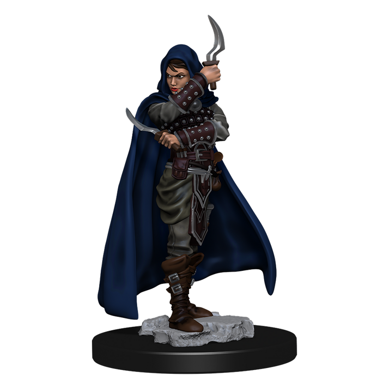 Pathfinder Battles Premium Painted Figure Human Rogue Female-1