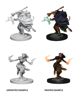 D&D Nolzurs Marvelous Unpainted Miniatures Female Tiefling Warlock-1