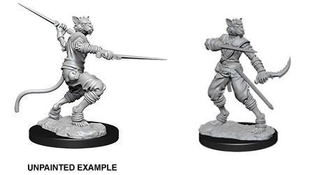 D&D Nolzurs Marvelous Unpainted Miniatures Male Tabaxi Rogue-1