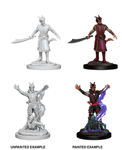 D&D Nolzurs Marvelous Unpainted Miniatures Male Tiefling Warlock-1