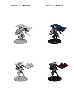 Pathfinder Deep Cuts Unpainted Miniatures Elf Female Paladin-1