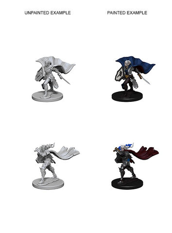 Pathfinder Deep Cuts Unpainted Miniatures Elf Female Paladin