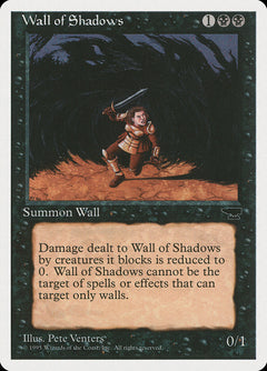 Wall of Shadows [Chronicles]-1