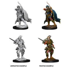 D&D Nolzurs Marvelous Unpainted Miniatures Male Elf Rogue-1