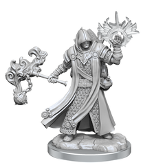 D&D Frameworks Human Cleric Male-1