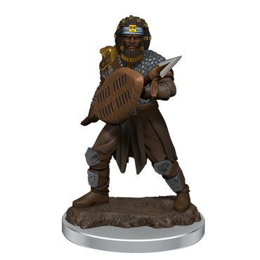 D&D Premium Painted Figures Human Fighter Male