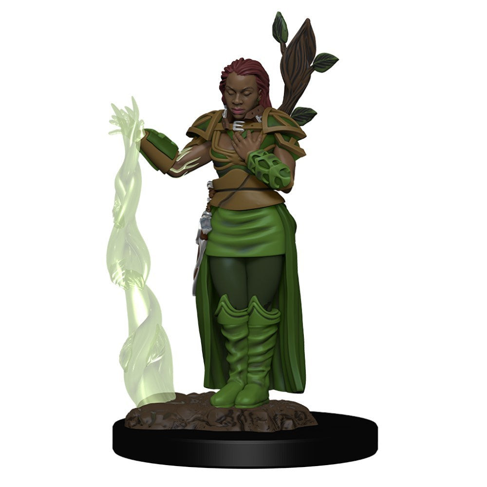 D&D Premium Painted Figures Human Female Druid-1