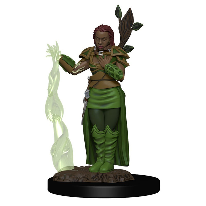 D&D Premium Painted Figures Human Female Druid-1