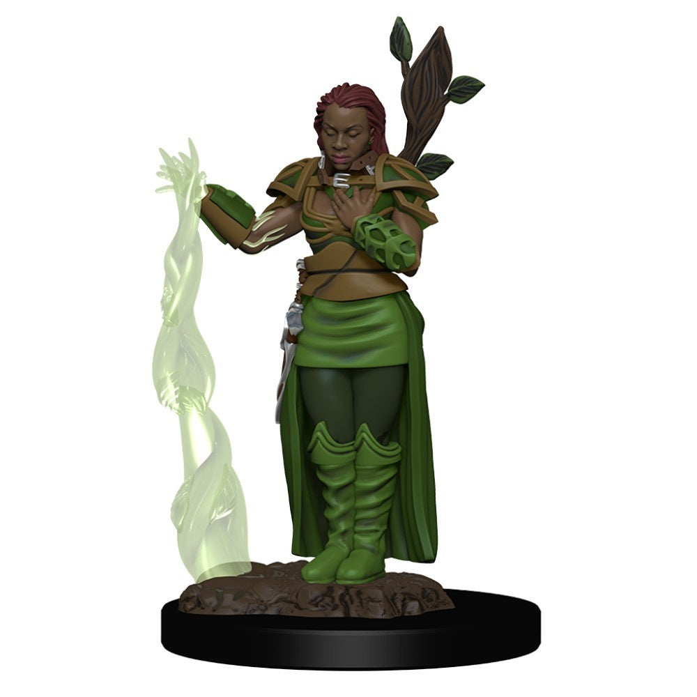 D&D Premium Painted Figures Human Female Druid