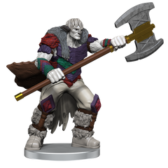 Critical Role NPCs of Tal'Dorei - Set 1-1
