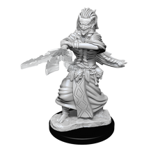 D&D Nolzurs Marvelous Unpainted Miniatures Night Hag & Dusk Hag-1