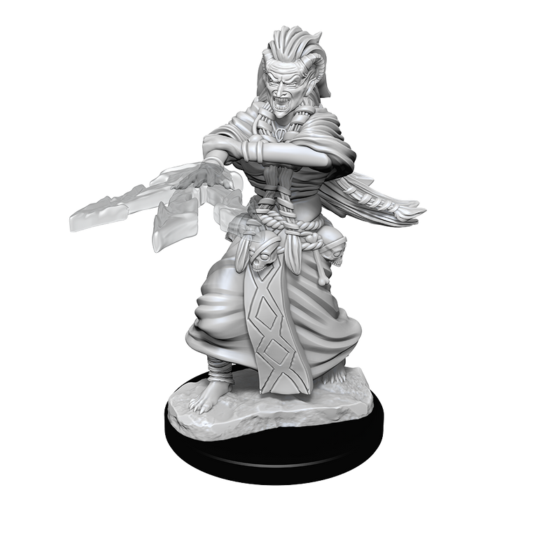 D&D Nolzurs Marvelous Unpainted Miniatures Night Hag & Dusk Hag-1