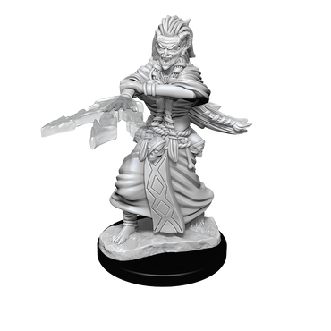 D&D Nolzurs Marvelous Unpainted Miniatures Night Hag & Dusk Hag