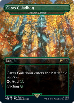 Tranquil Thicket - Caras Galadhon (Borderless) [Wizards Play Network 2023]-1