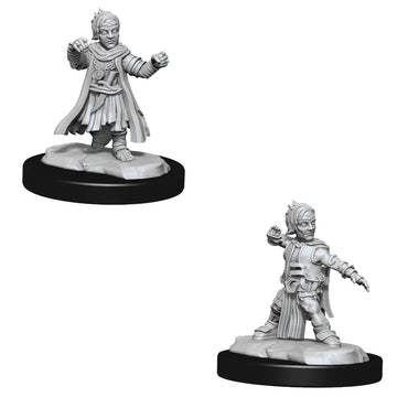 Pathfinder Deep Cuts Unpainted Miniatures Halfing Monk Male