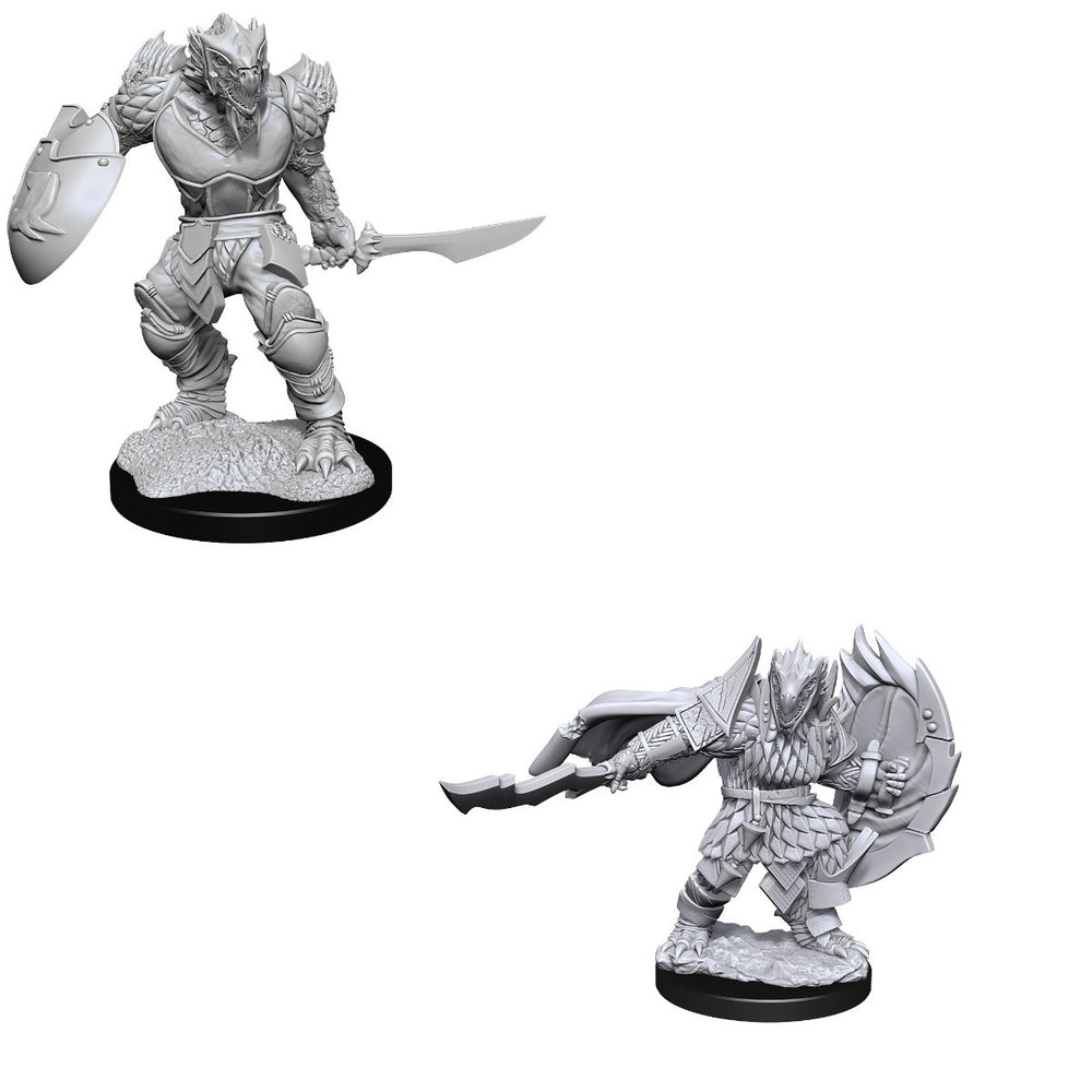 D&D Nolzurs Marvelous Unpainted Miniatures Dragonborn Fighter Male