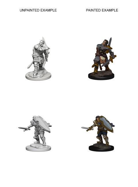 D&D Nolzurs Marvelous Unpainted Miniatures Human Male Paladin-1