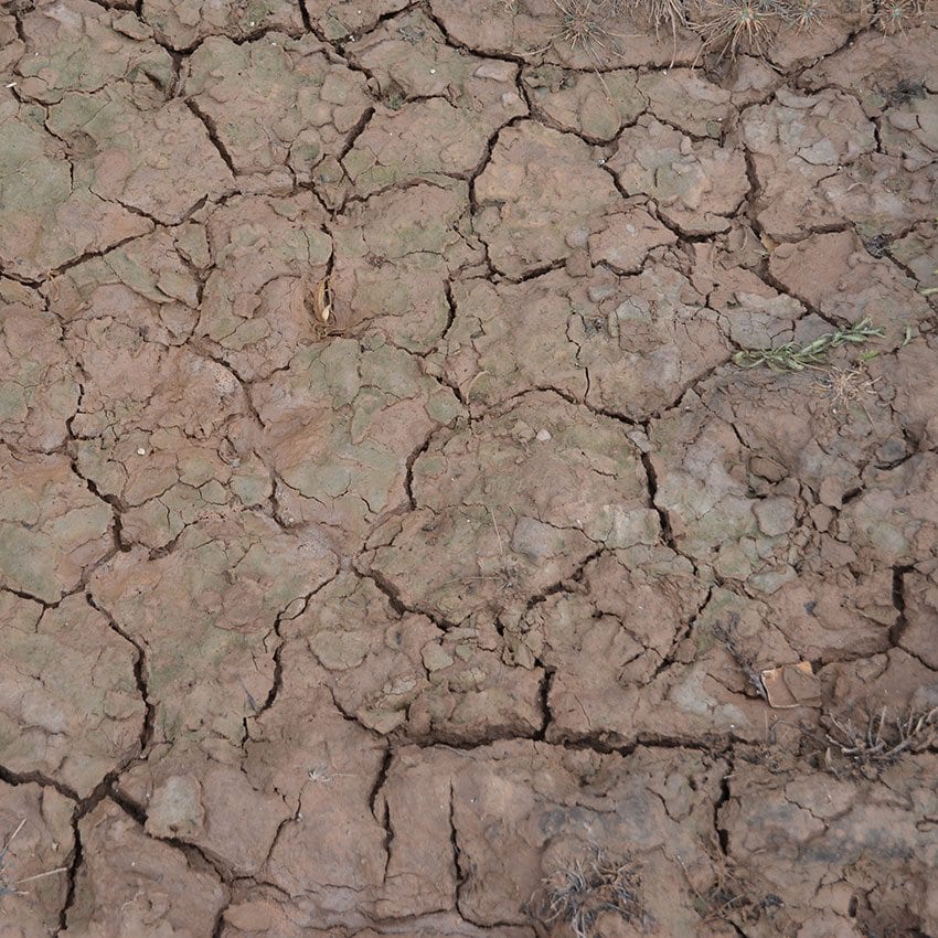 AK-Interactive: (Texture) Wet Crackle Effects - 100ml (Acrylic)