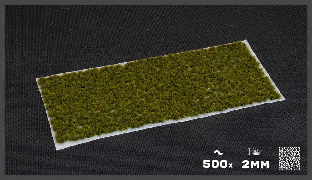 Gamers Grass: Tufts: Moss 2mm (Small)-3