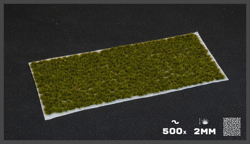Gamers Grass: Tufts: Moss 2mm (Small)-3