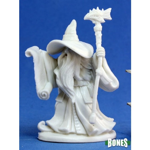 Reaper: Bones: Galladon, Male Wizard-1