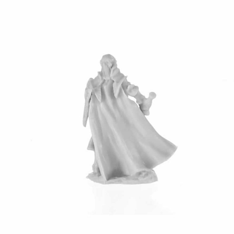 Reaper: Bones: Alandin, Elf Paladin-2