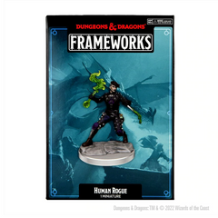 D&D Frameworks Human Rogue Female-1