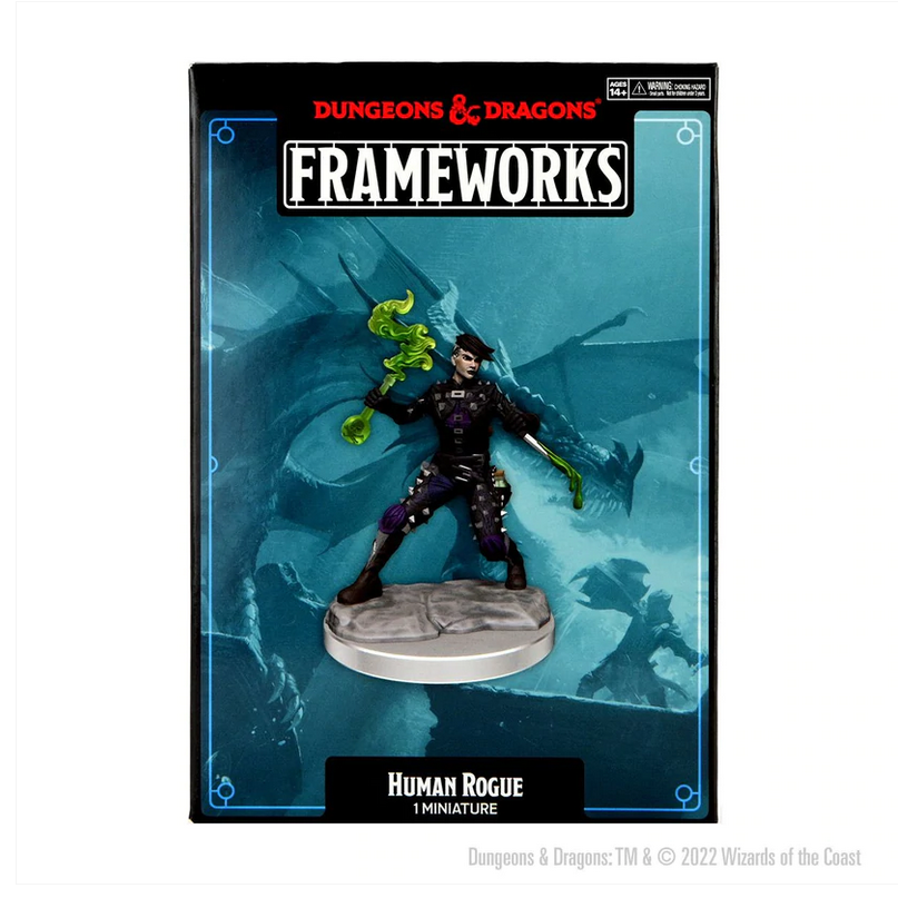 D&D Frameworks Human Rogue Female
