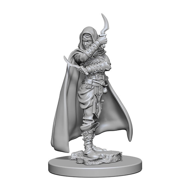 Pathfinder Deep Cuts Unpainted Miniatures Human Female Rogue-1