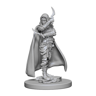 Pathfinder Deep Cuts Unpainted Miniatures Human Female Rogue