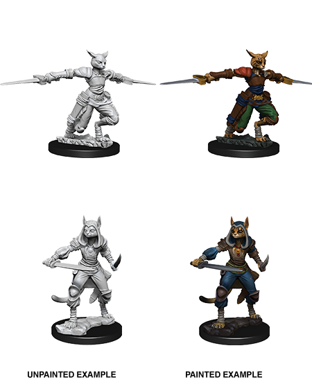 D&D Nolzurs Marvelous Unpainted Miniatures Female Tabaxi Rogue-1
