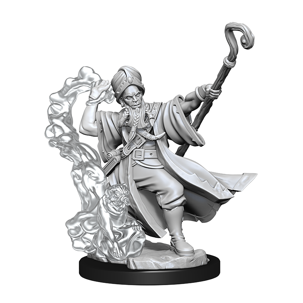 D&D Frameworks Human Wizard Male-1