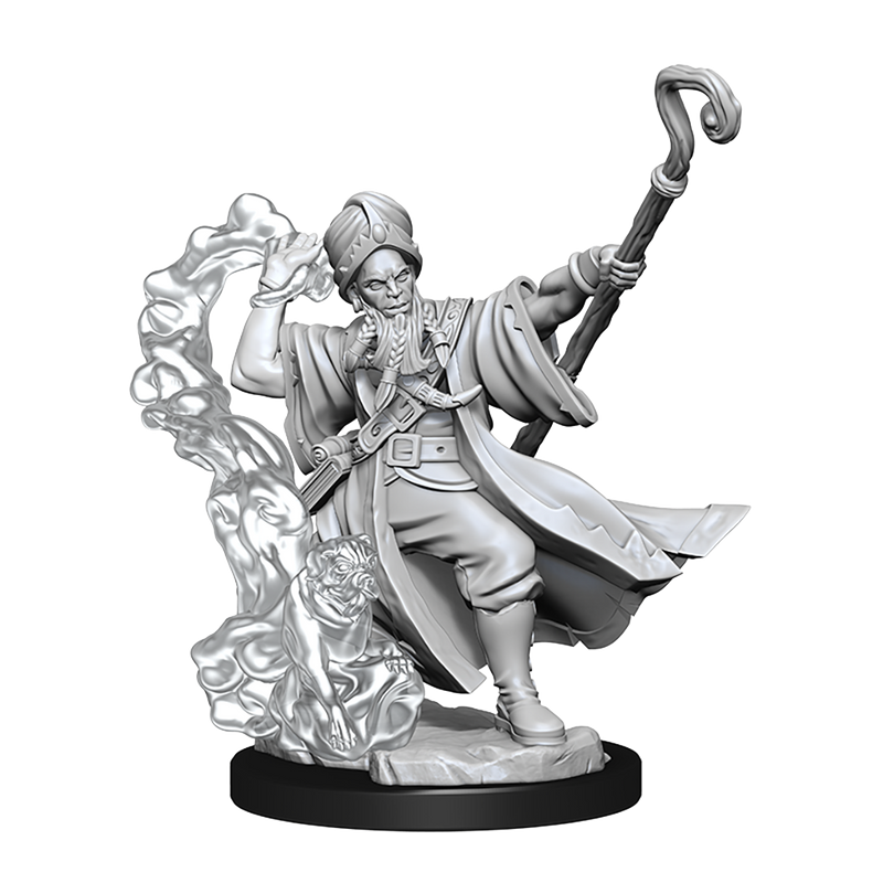 D&D Frameworks Human Wizard Male-1