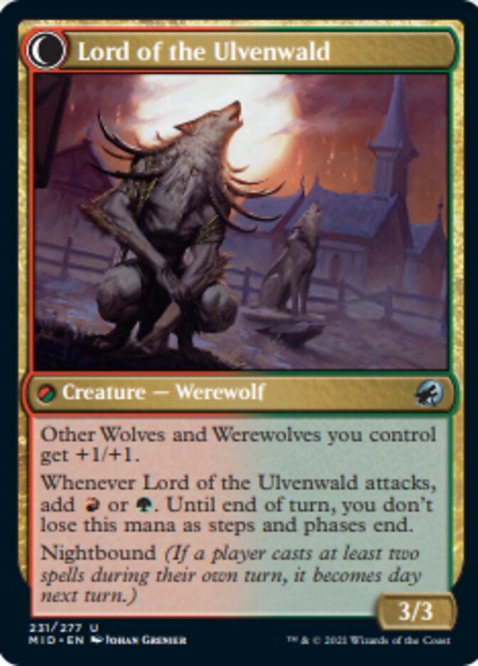 Kessig Naturalist // Lord of the Ulvenwald [Innistrad: Midnight Hunt]-2