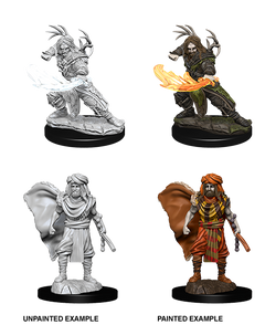 D&D Nolzurs Marvelous Unpainted Miniatures Male Human Druid-1