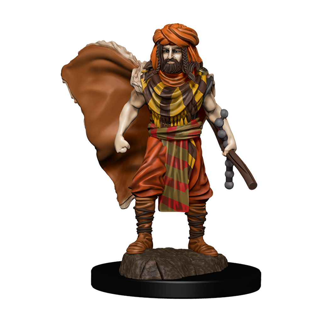 D&D Premium Painted Figures Human Druid Male-1