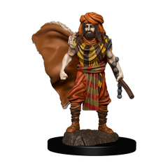 D&D Premium Painted Figures Human Druid Male-1