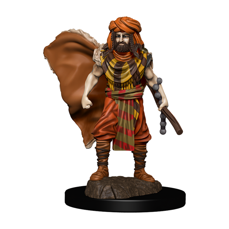 D&D Premium Painted Figures Human Druid Male-1