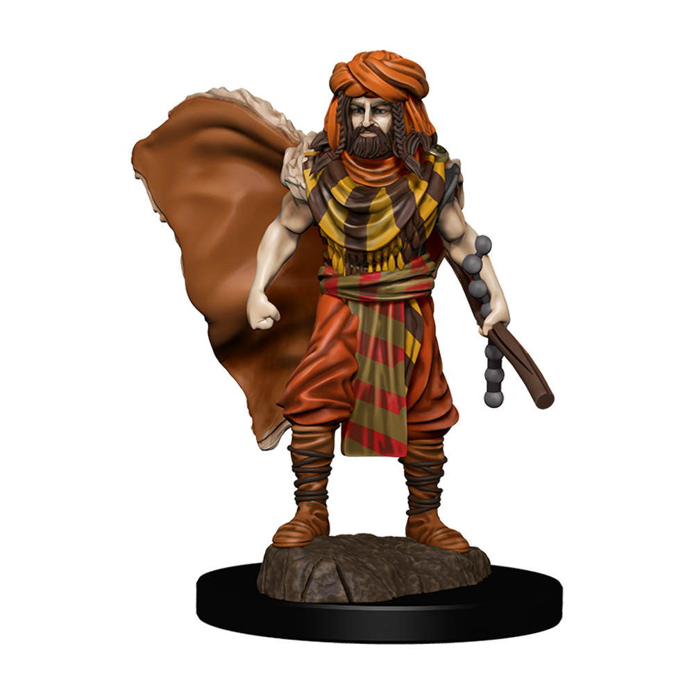 D&D Premium Painted Figures Human Druid Male