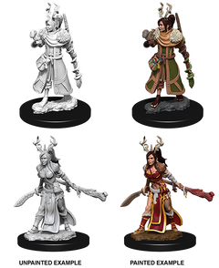 D&D Nolzurs Marvelous Unpainted Miniatures Female Human Druid-1