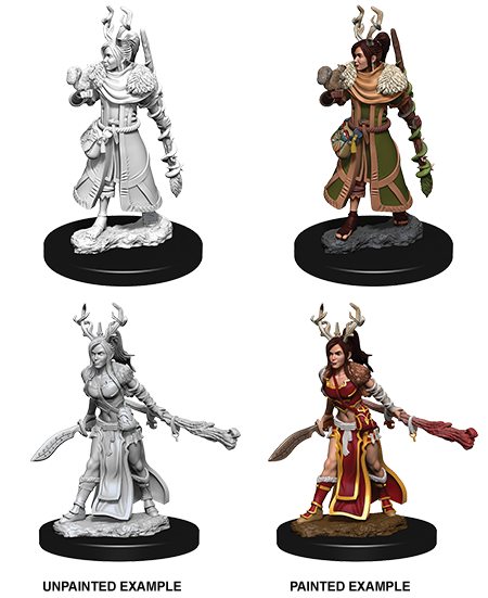 D&D Nolzurs Marvelous Unpainted Miniatures Female Human Druid-1