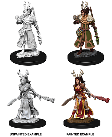 D&D Nolzurs Marvelous Unpainted Miniatures Female Human Druid