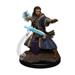 D&D Premium Painted Figures Human Wizard Male-1