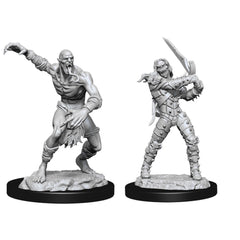 D&D Nolzurs Marvelous Unpainted Miniatures Wight and Ghast-1