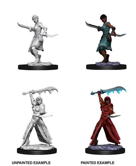 D&D Nolzurs Marvelous Unpainted Miniatures Female Human Rogue-1