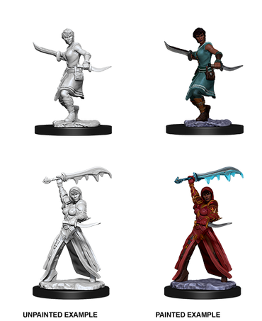 D&D Nolzurs Marvelous Unpainted Miniatures Female Human Rogue