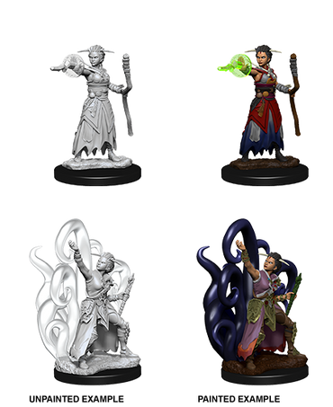 D&D Nolzurs Marvelous Unpainted Miniatures Female Human Warlock