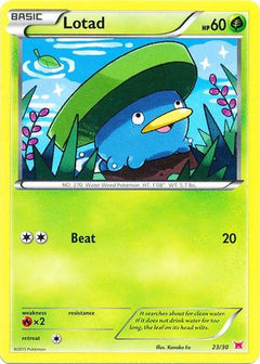 Lotad (23/30) [XY: Trainer Kit 2 - Latias]-1