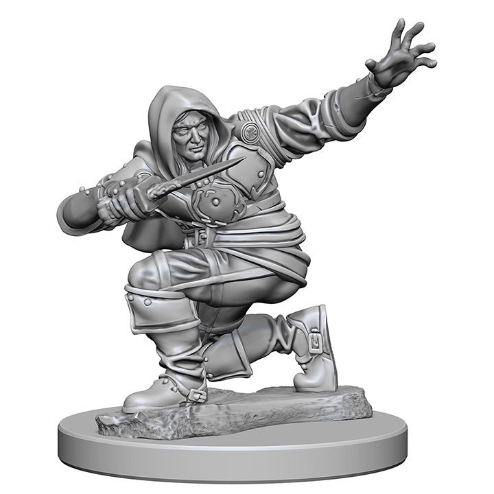 Pathfinder Deep Cuts Unpainted Miniatures Human Male Rogue-1